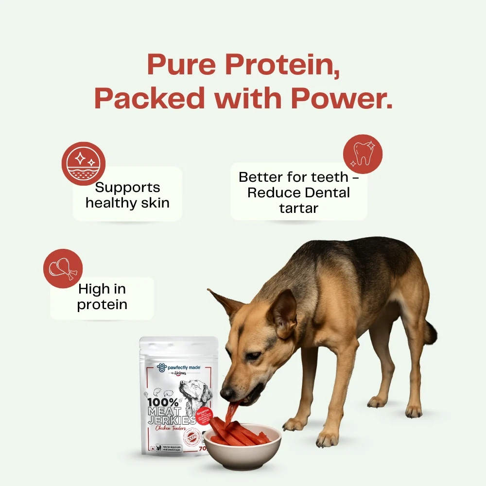 Pawfectly Made By Licious Dehydrated Chicken Tender Jerky Dog Treat - Image 3