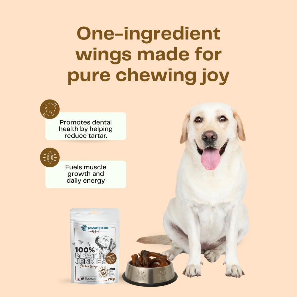 Pawfectly Made By Licious Dehydrated Chicken Wings Jerky Dog Treat - Image 3