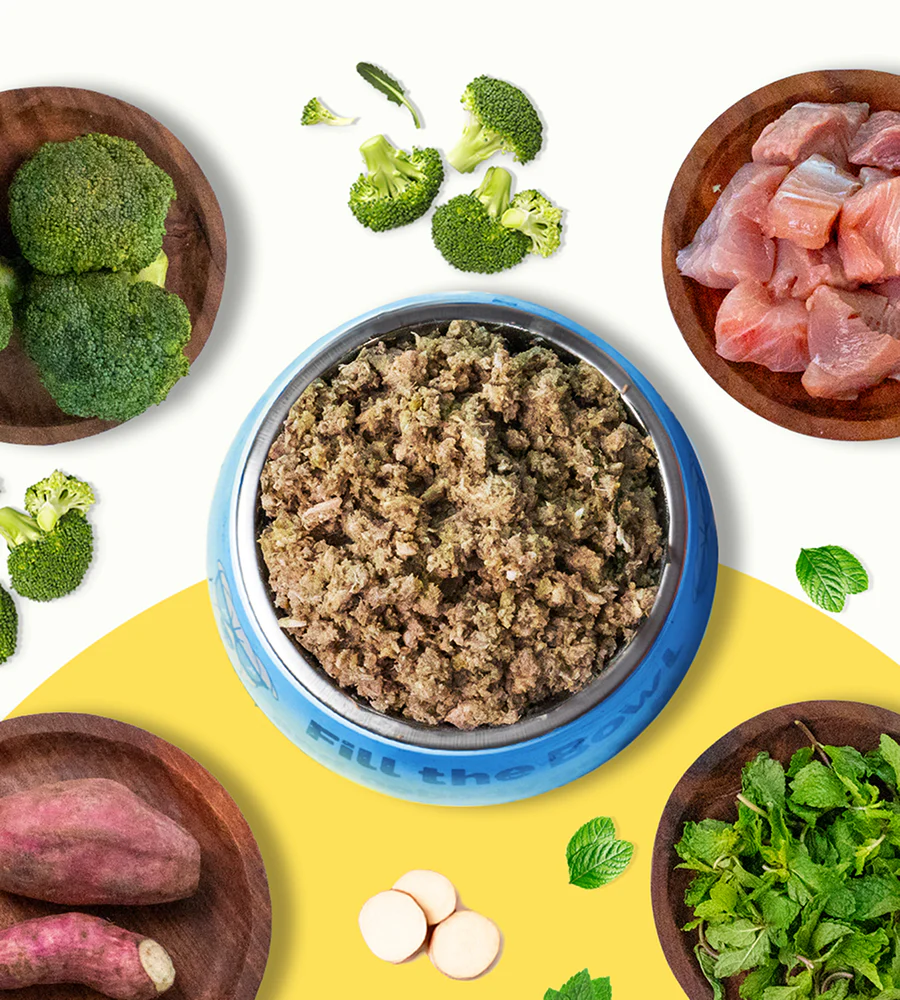 Pawfectly Made By Licious Fish Broccoli & Sweet Potato Home Meal for Dogs - Image 4