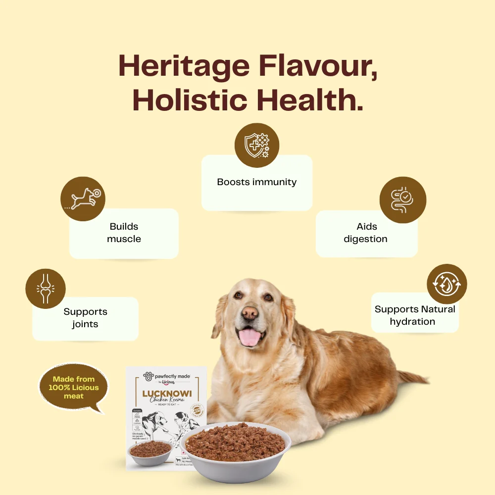 Pawfectly Made By Licious Lucknowi Chicken Keema Gravy Adult Dog Wet Food - Image 3