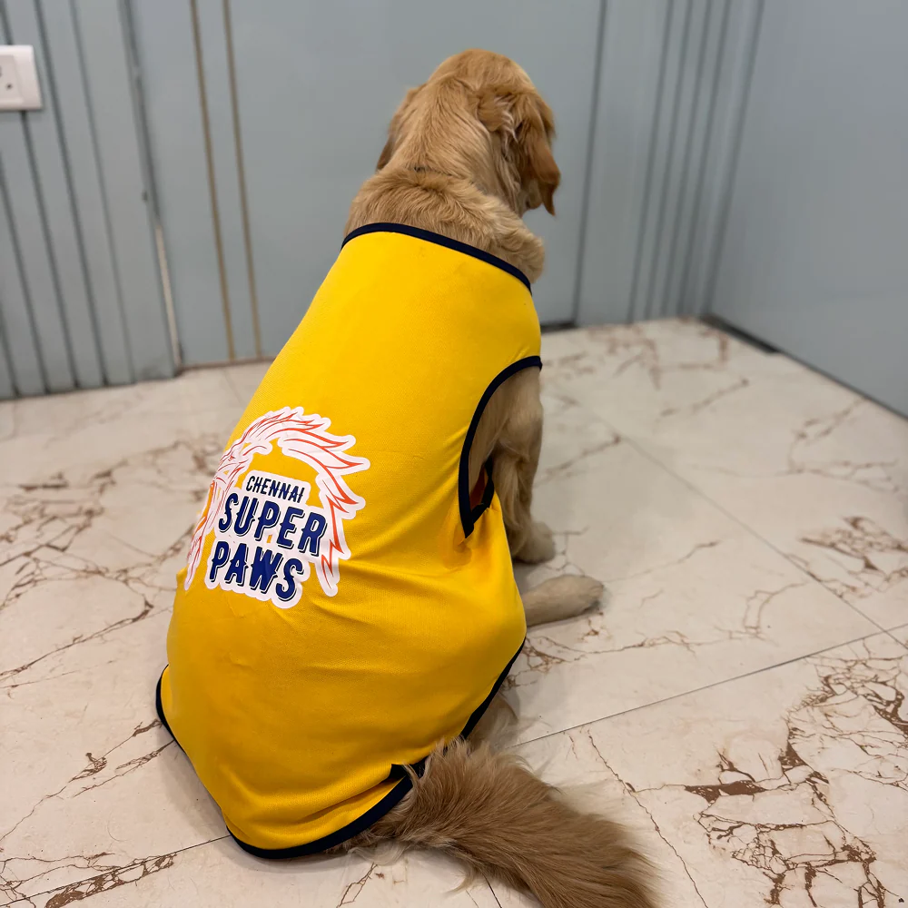 Chennai Supaw Kings ipl Jersey for Dogs and Cats | Indian Pet League - Image 3