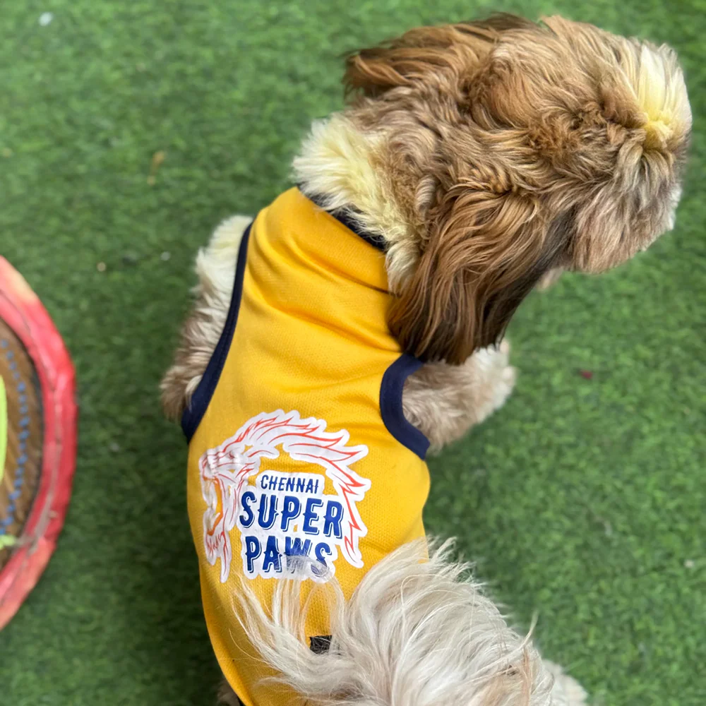 Chennai Supaw Kings ipl Jersey for Dogs and Cats | Indian Pet League - Image 4
