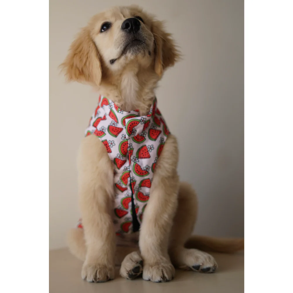 Pawgypets Daisy Melon Sando for Dogs (Pink) - Image 3