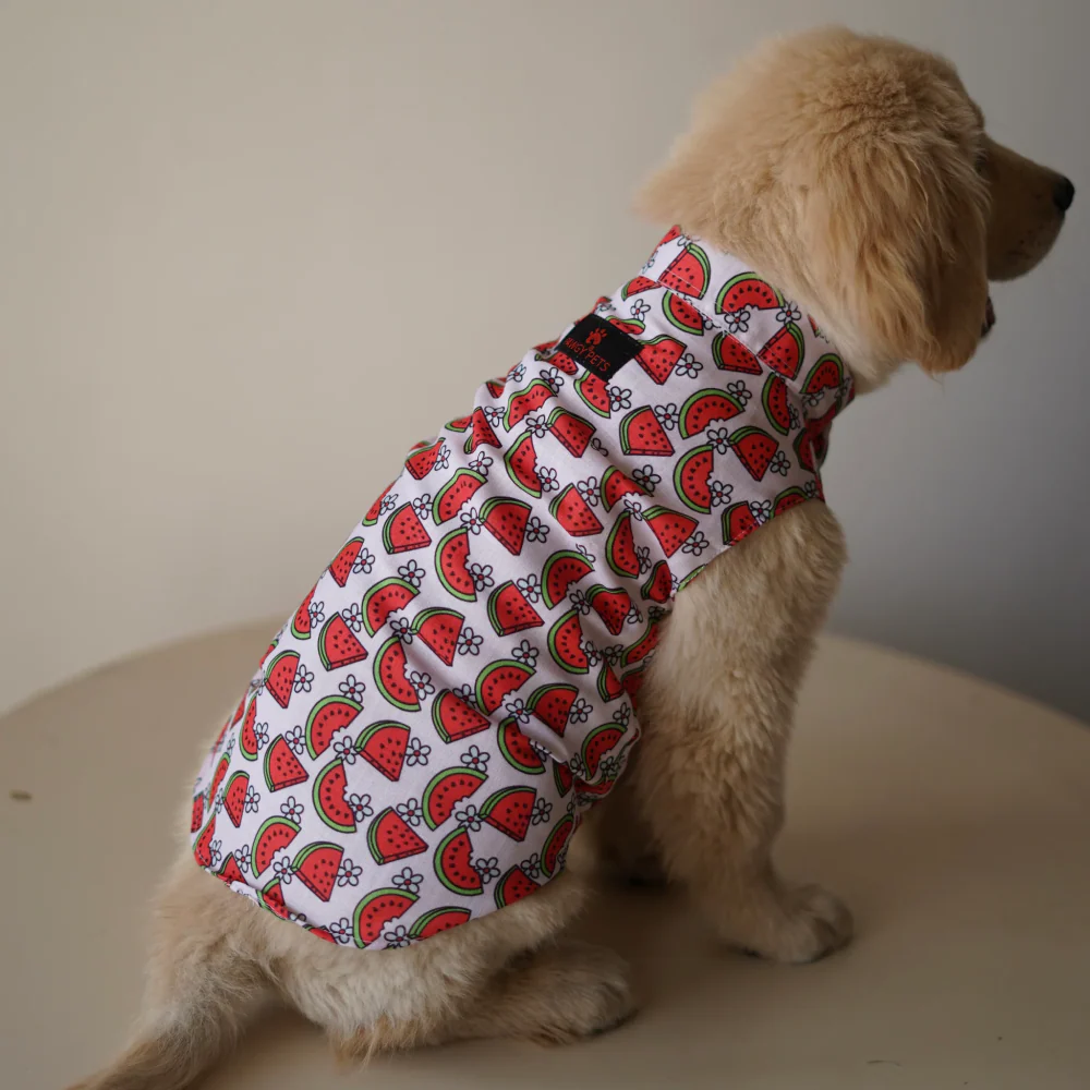 Pawgypets Daisy Melon Sando for Dogs (Pink) - Image 4