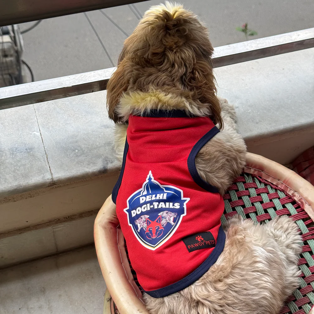 Delhi Dogi Tails ipl Jersey for Dogs and Cats | Indian Pet League - Image 3