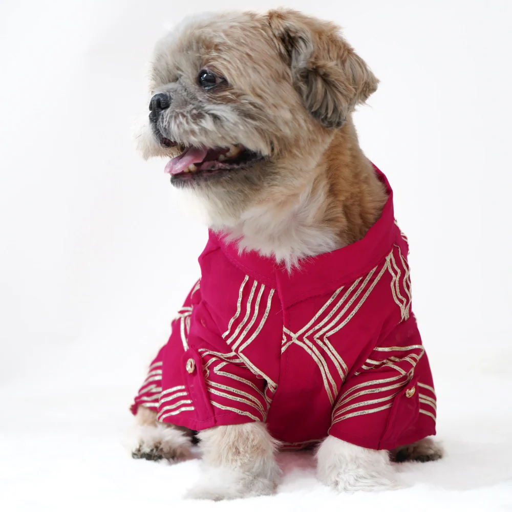 Pawgypets Festive Gota Shirt for Dogs (Hot Pink) - Image 3