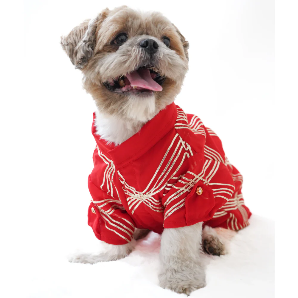 Pawgypets Festive Gota Shirt for Dogs (Red) - Image 3
