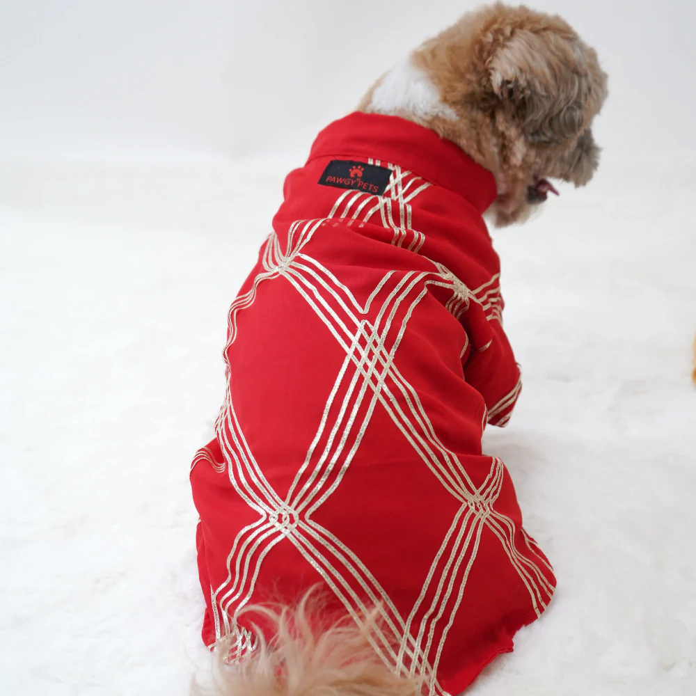 Pawgypets Festive Gota Shirt for Dogs (Red) - Image 4