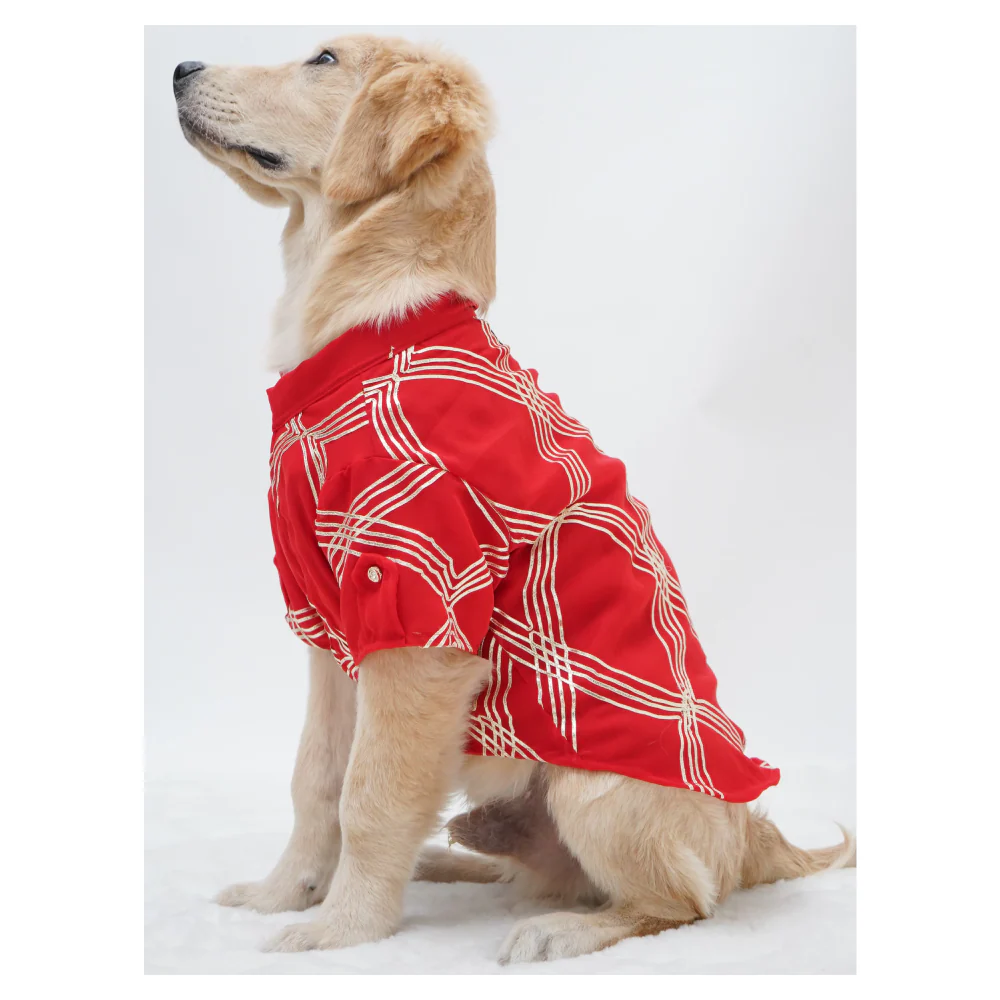 Pawgypets Festive Gota Shirt for Dogs (Red) - Image 5