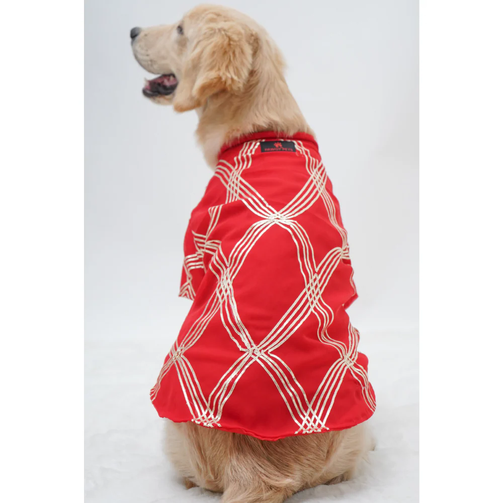 Pawgypets Festive Gota Shirt for Dogs (Red) - Image 6