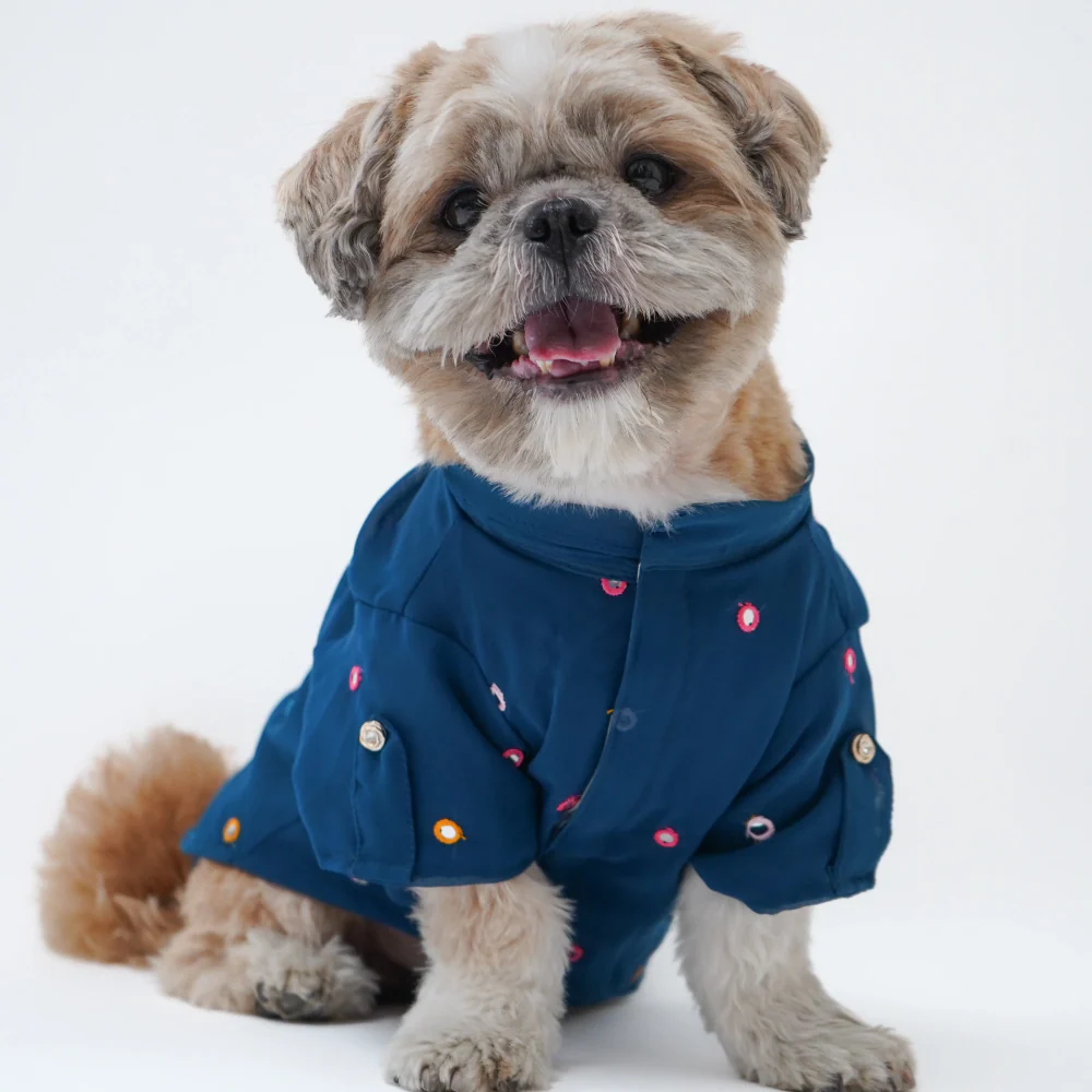 Pawgypets Festive Shirt for Dogs (Peacock Blue) - Image 3