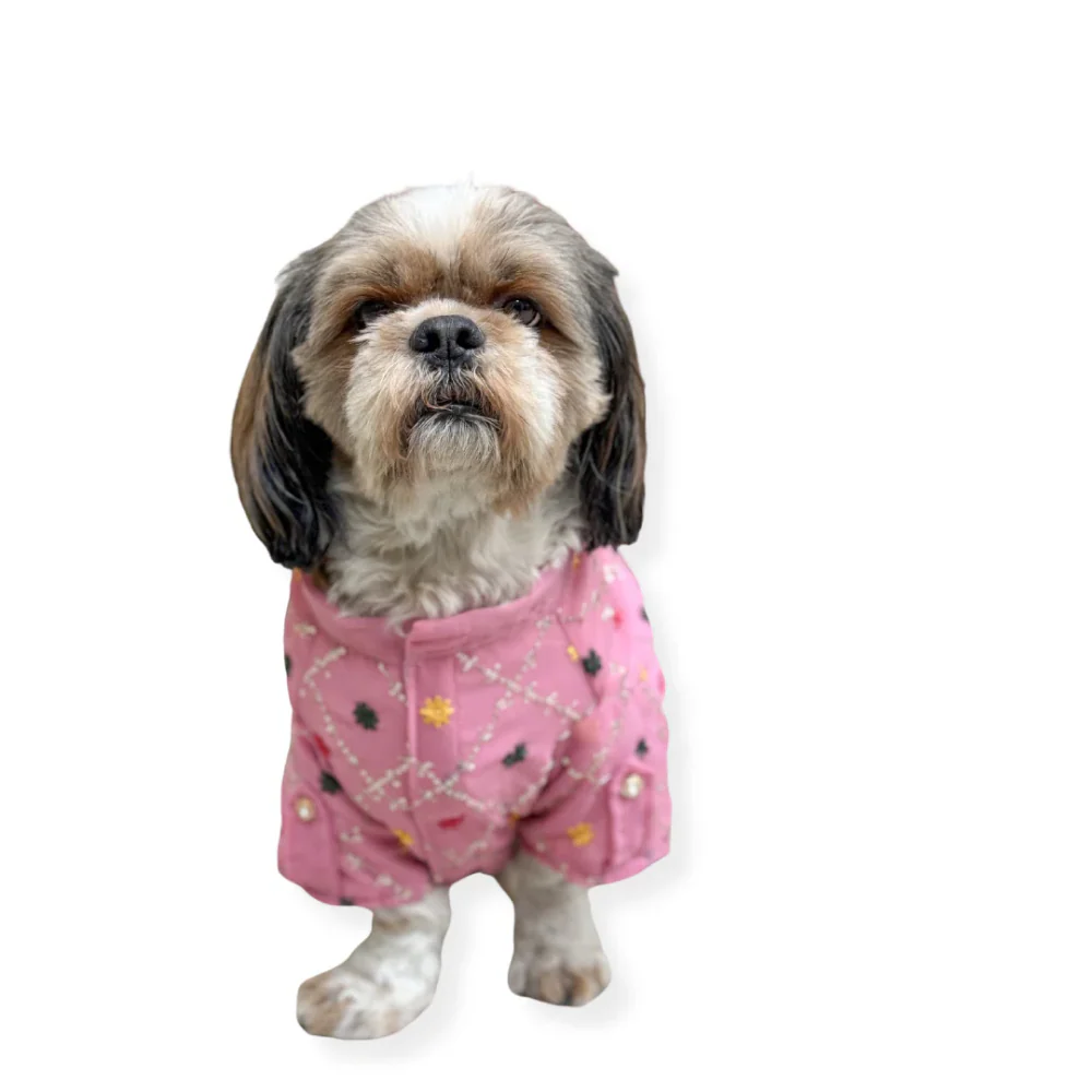 Pawgypets Festive Shirt for Dogs (Pink) - Image 3