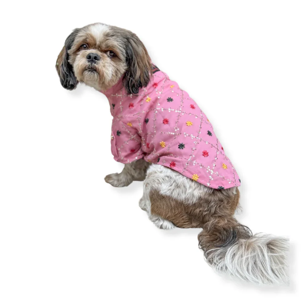 Pawgypets Festive Shirt for Dogs (Pink) - Image 4