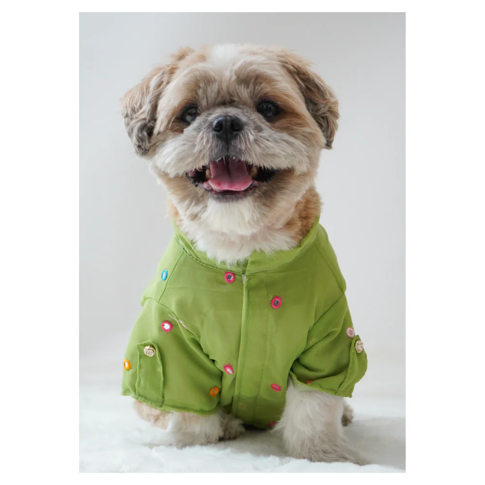 Pawgypets Festive Shirt for Dogs (Pista Green) - Image 3