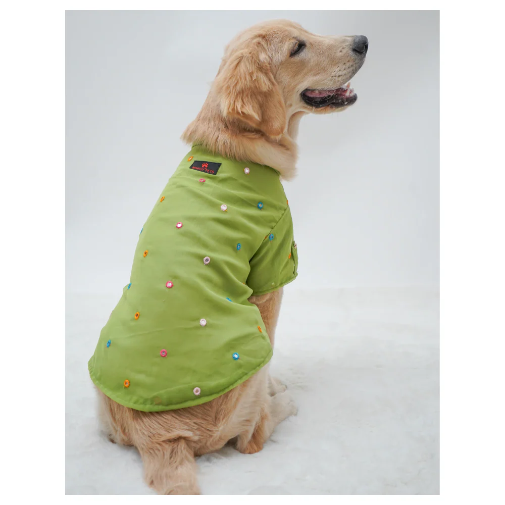Pawgypets Festive Shirt for Dogs (Pista Green) - Image 4