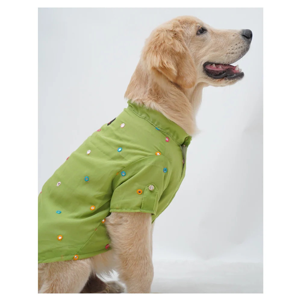 Pawgypets Festive Shirt for Dogs (Pista Green) - Image 5