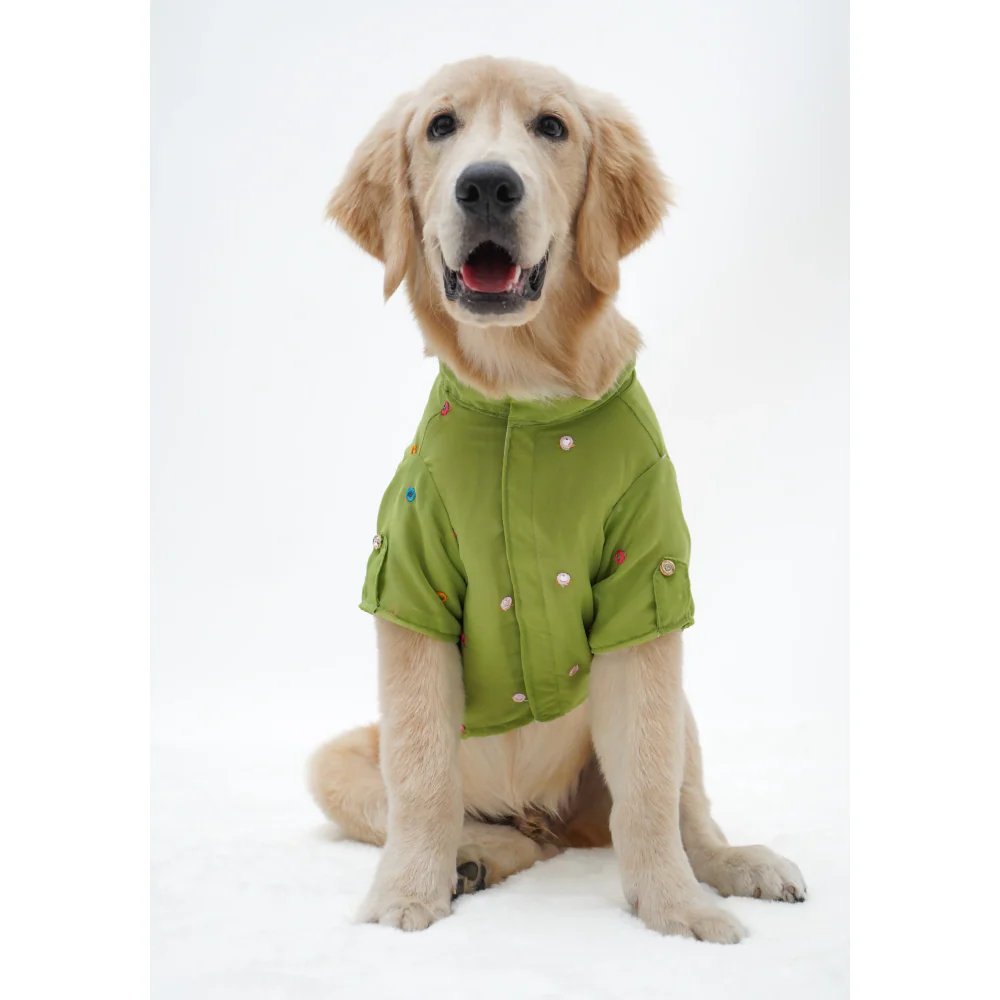 Pawgypets Festive Shirt for Dogs (Pista Green) - Image 6