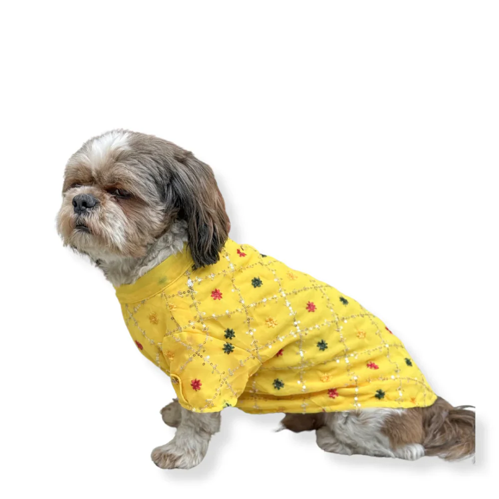 Pawgypets Festive Shirt for Dogs (Yellow) - Image 3