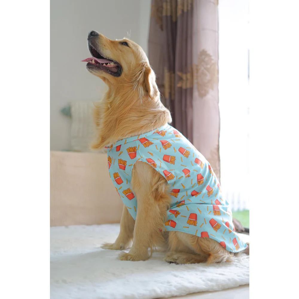 Pawgypets Fries Over Guys Sando for Dogs (Blue) - Image 3
