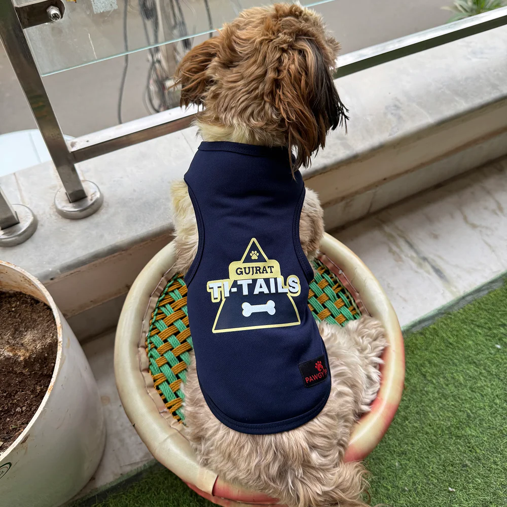 Gujarat Ti Tails ipl Jersey for Dogs and Cats | Indian Pet League - Image 3