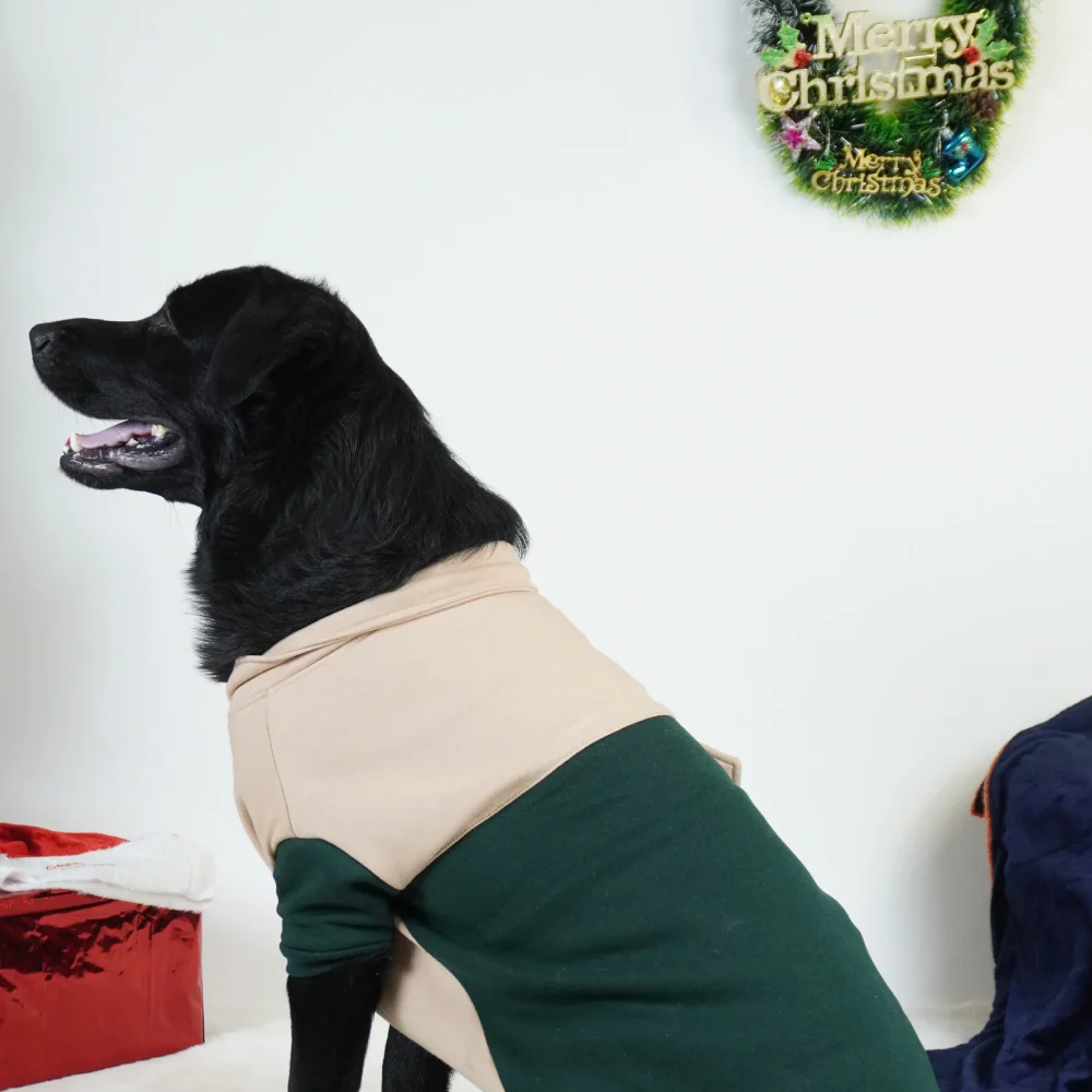 Pawgy Pets Hoodie Sweatshirt for Dogs and Cats - Image 5