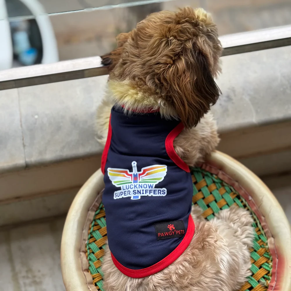 Lucknow Super Sniffers ipl Jersey for Dogs and Cats | Indian Pet League - Image 4