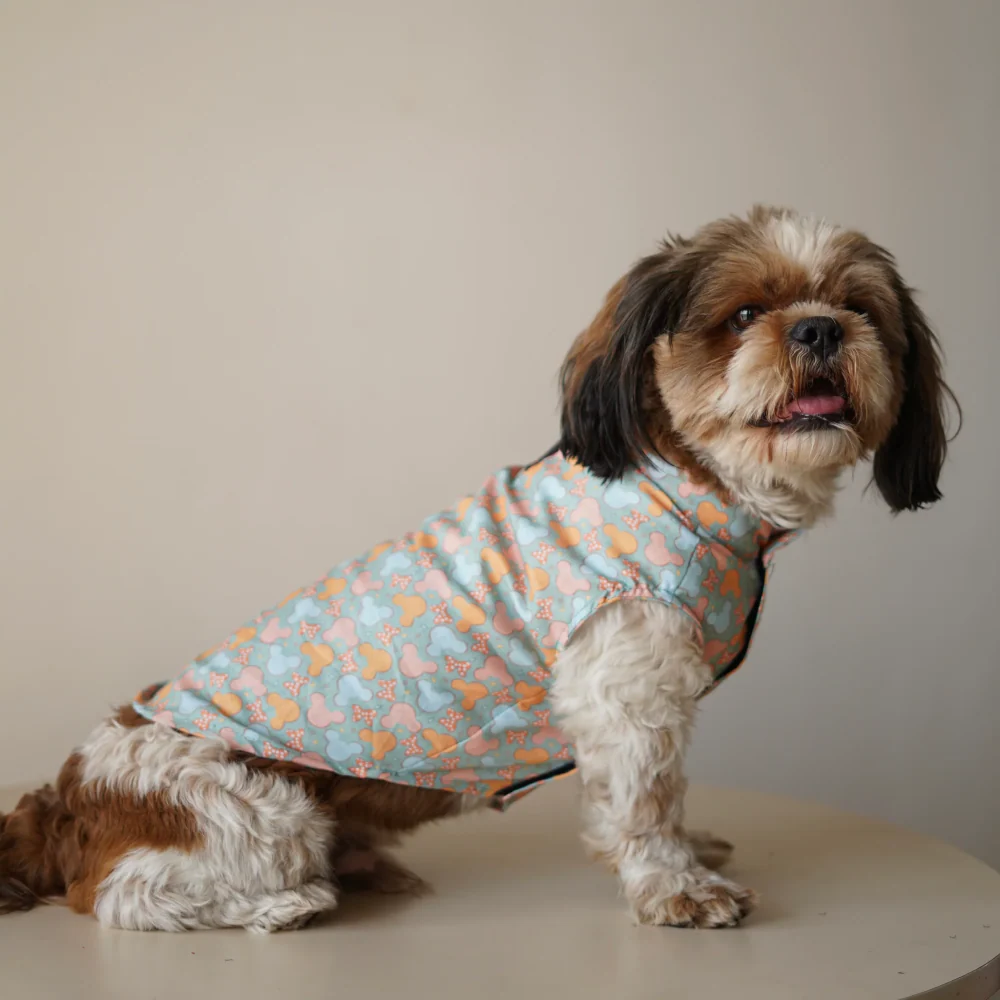 Pawgypets Mickey Overloaded Sando for Dogs (Pastel Green)