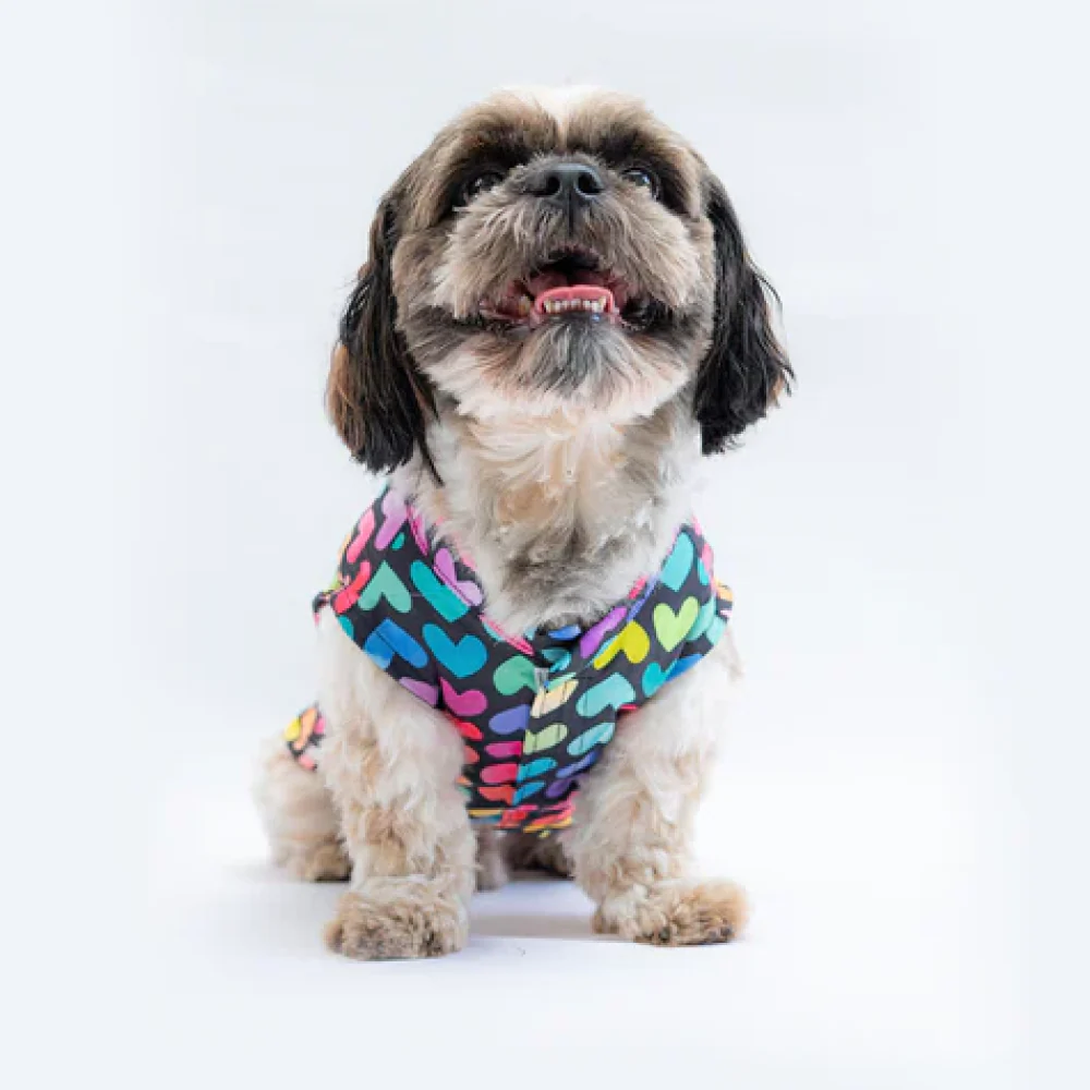 Pawgypets Multi Heart Sando for Dogs (Multi Colour) - Image 3