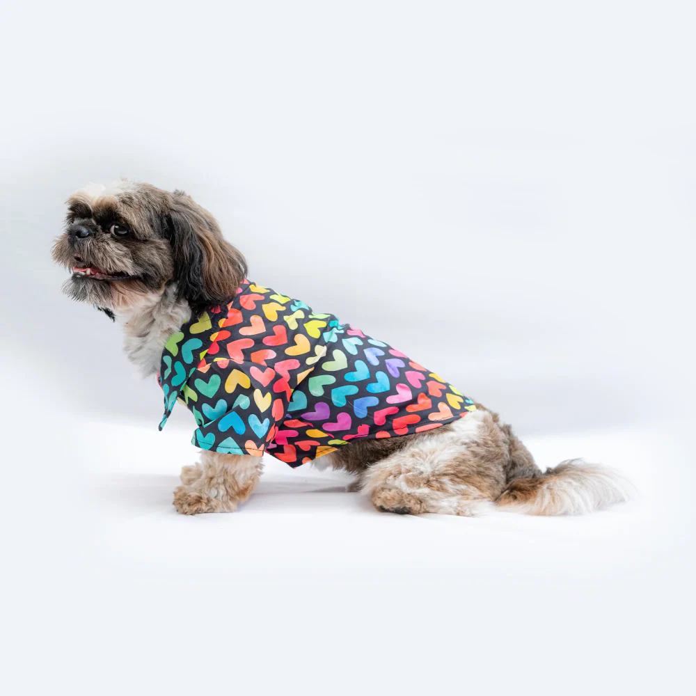 Pawgypets Multi Heart Shirt for Dogs (Multi Colour) - Image 3