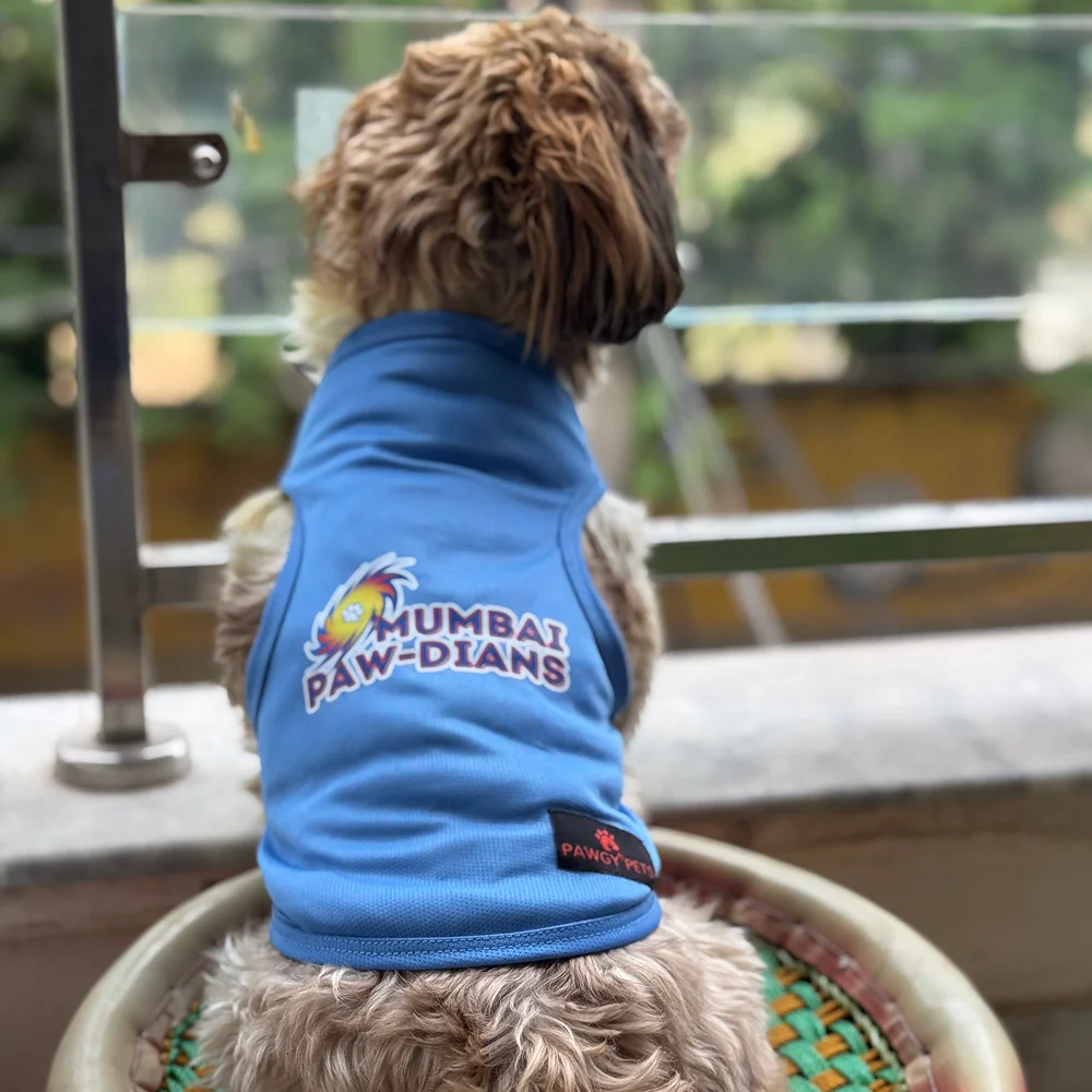 Mumbai Pawdians ipl Jersey for Dogs and Cats | Indian Pet League - Image 3