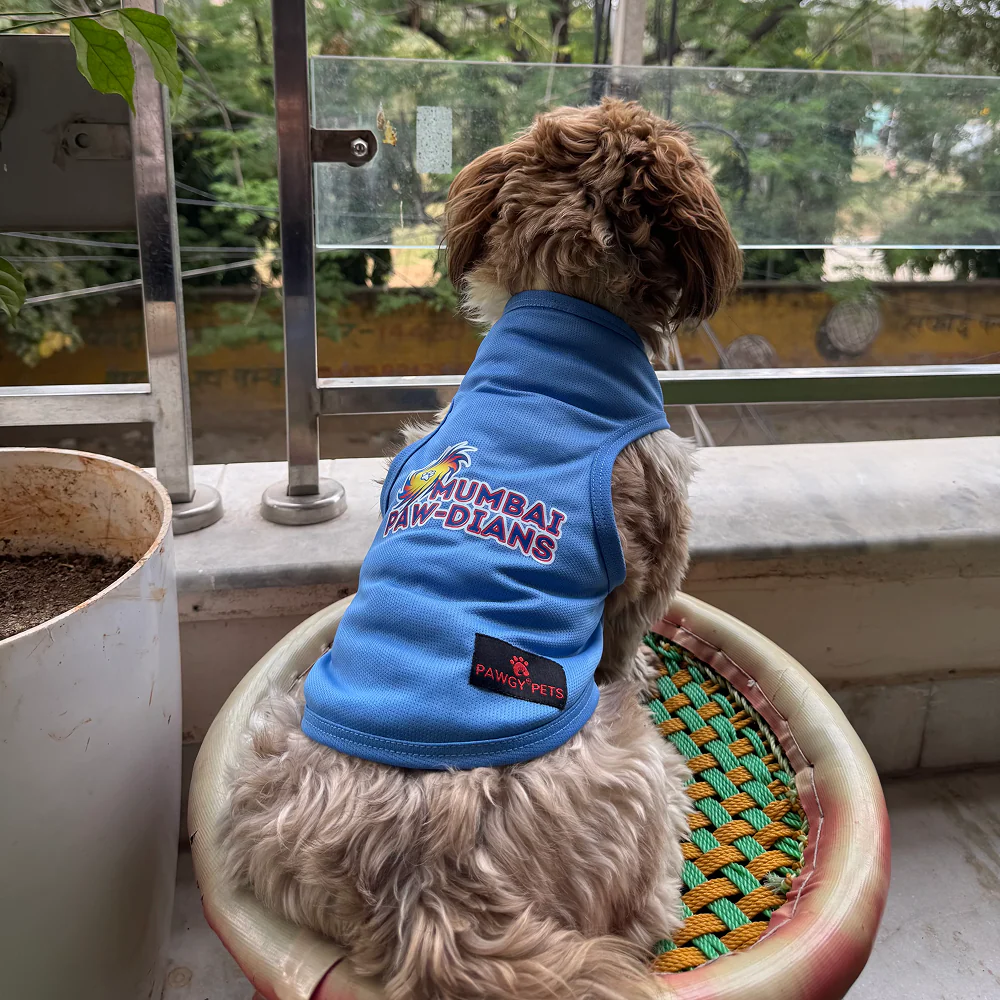 Mumbai Pawdians ipl Jersey for Dogs and Cats | Indian Pet League - Image 4