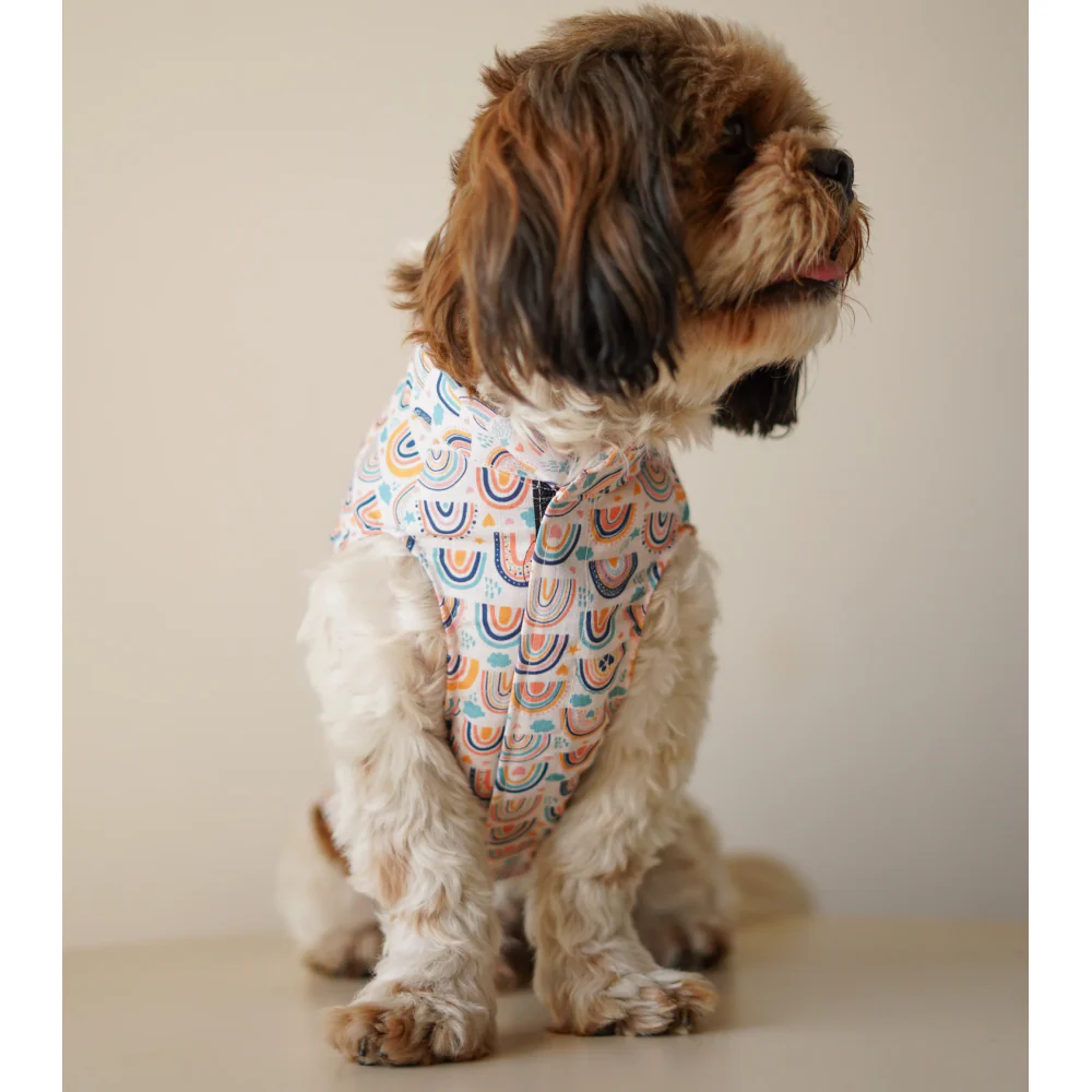 Pawgypets Rainbow Sando for Dogs (off white) - Image 3