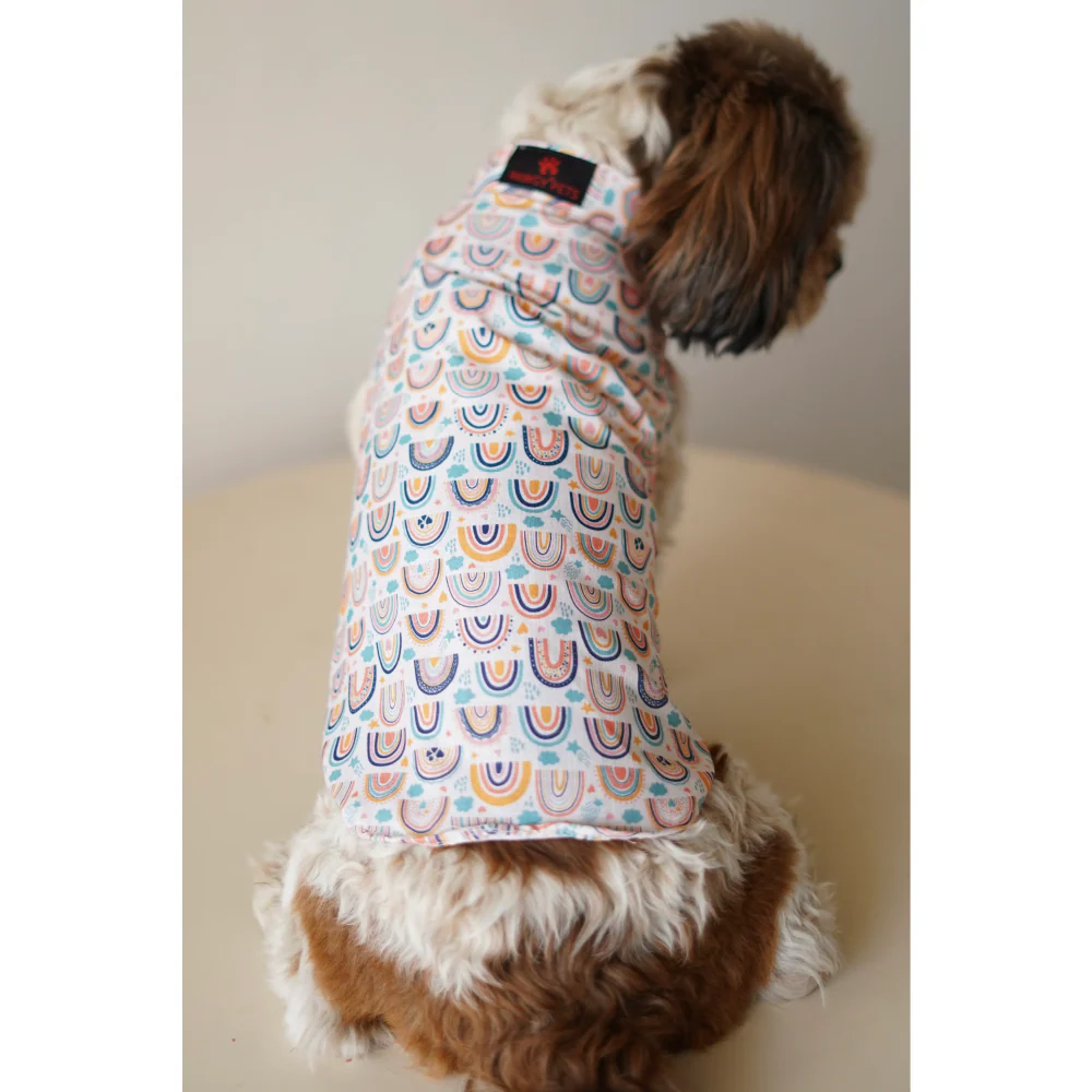 Pawgypets Rainbow Sando for Dogs (off white) - Image 4