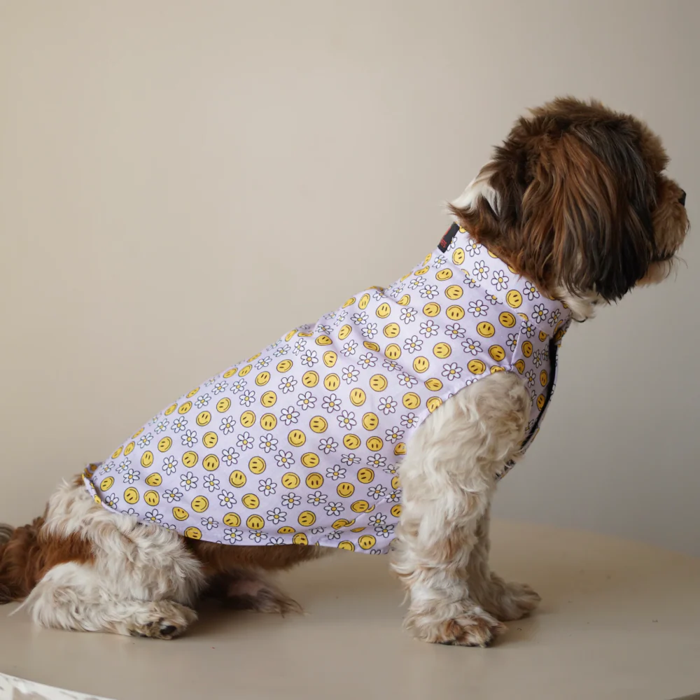 Pawgypets Smiley o clock sando for Dogs (Lavender) - Image 3