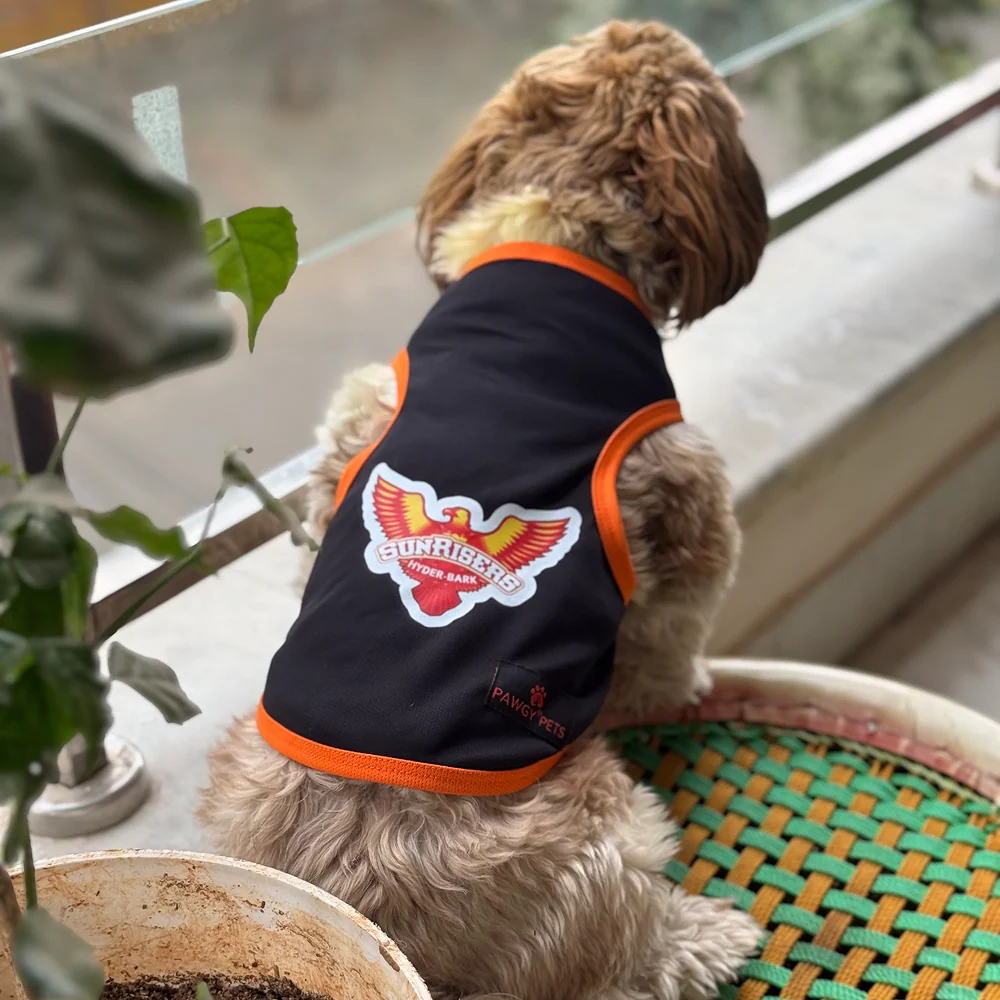 Sunrisers Hyder Bark ipl Jersey for Dogs and Cats | Indian Pet League - Image 3