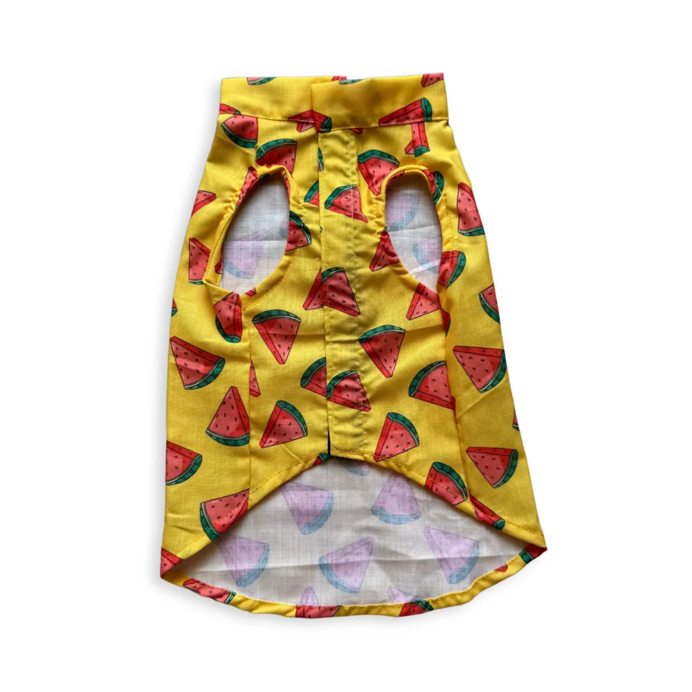 Pawgypets Watermelon sugar sando for Dogs (Yellow) - Image 5