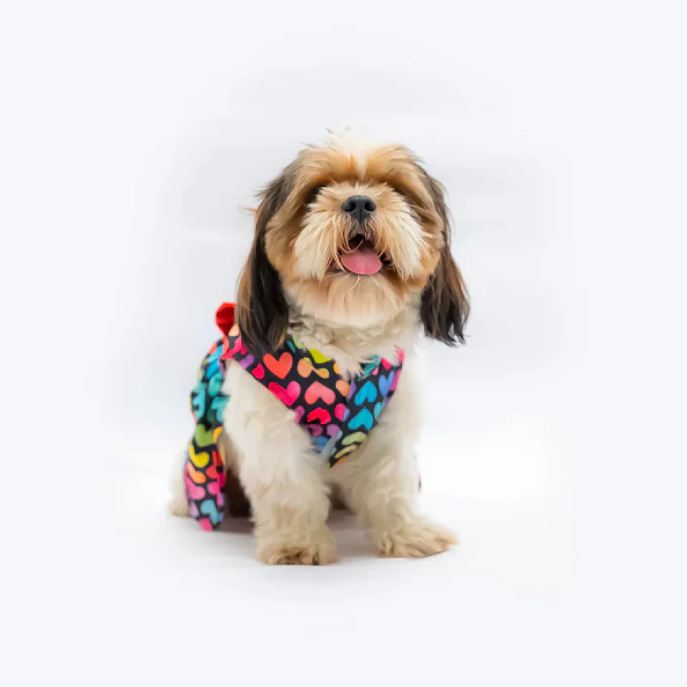 Pawgypet Multi Heart Dress for Dogs (Multi Colour) - Image 5
