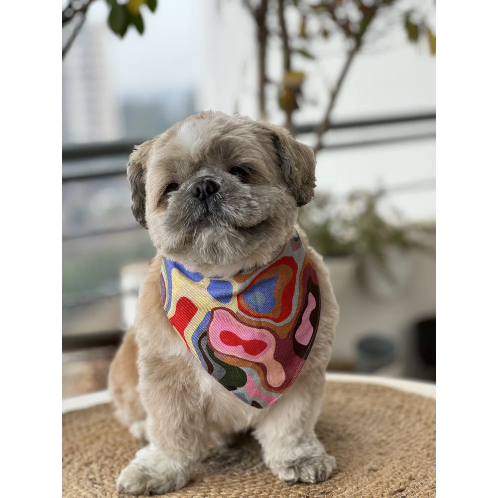 Pawgypets Bandana for Dogs and Cats (Multi Color) - Image 2
