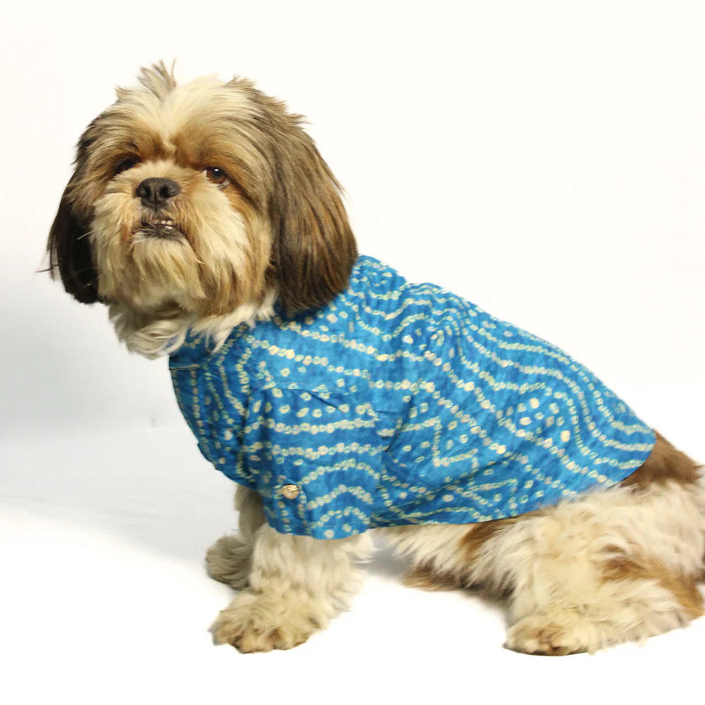 Pawgypets Bandani Kurta for Dogs (Blue) - Image 3