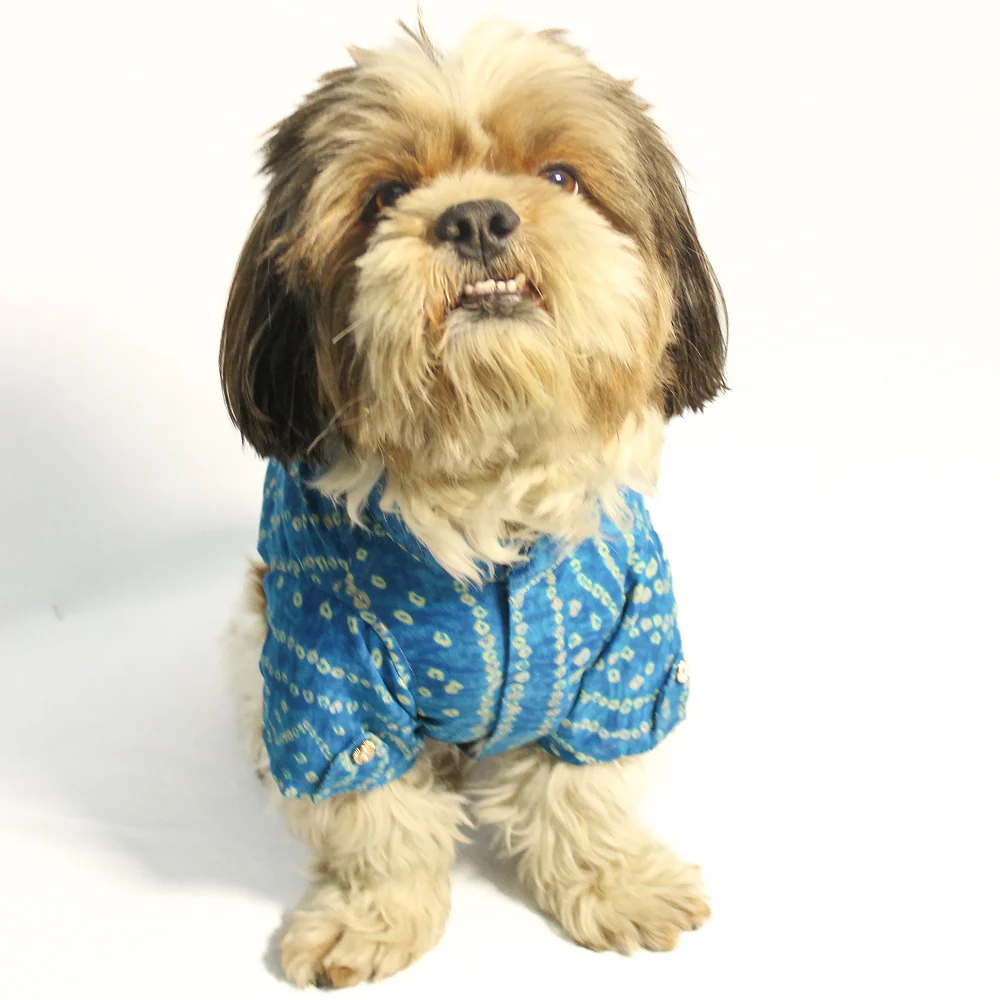 Pawgypets Bandani Kurta for Dogs (Blue) - Image 4
