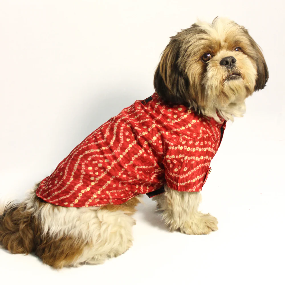 Pawgypets Bandani Kurta for Dogs (Red) - Image 4