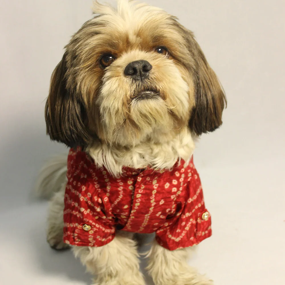Pawgypets Bandani Kurta for Dogs (Red) - Image 5