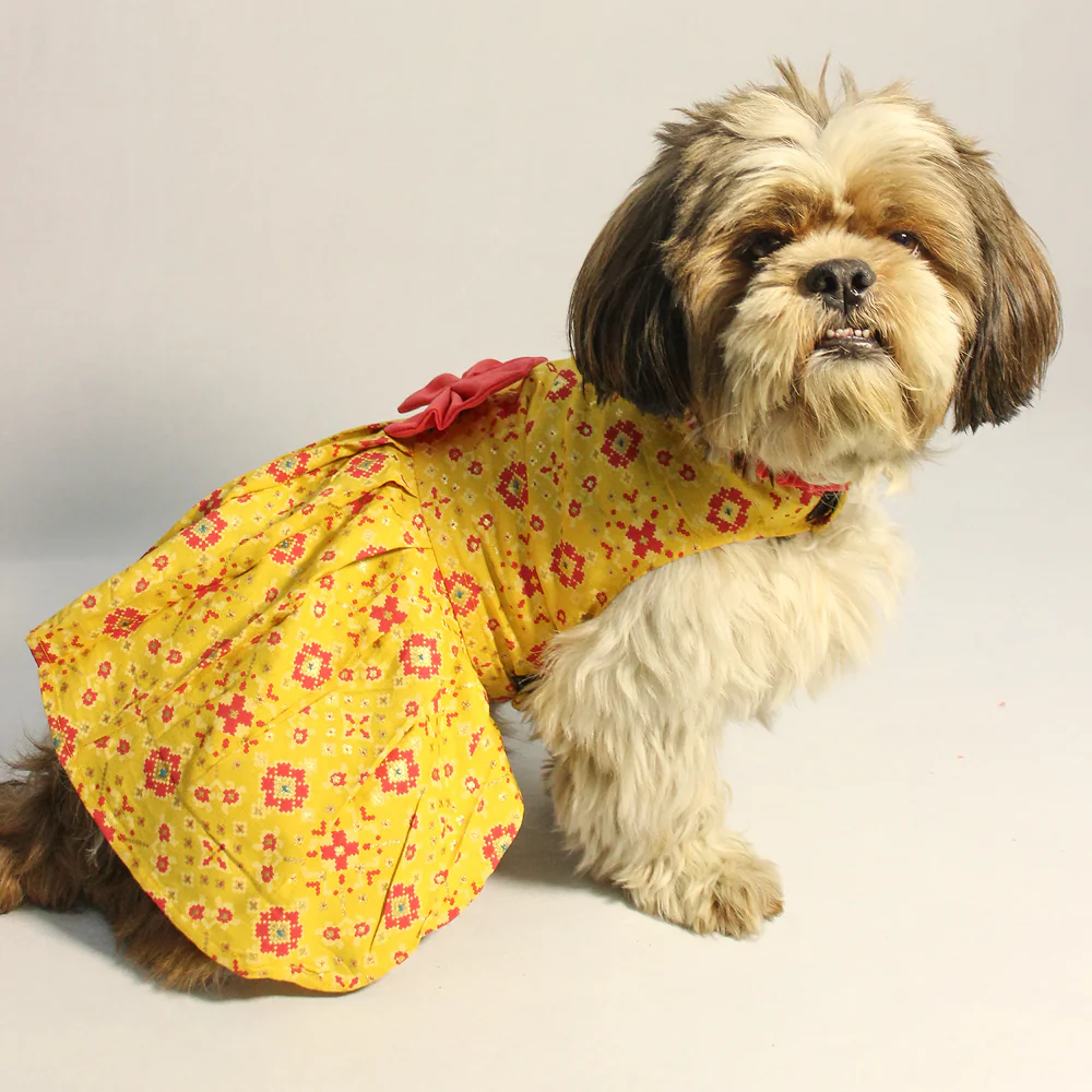 Pawgypets Block Print Bandani Dress for Dogs (Yellow) - Image 3
