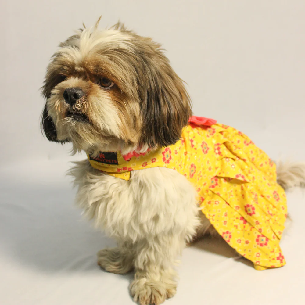 Pawgypets Block Print Bandani Dress for Dogs (Yellow) - Image 5