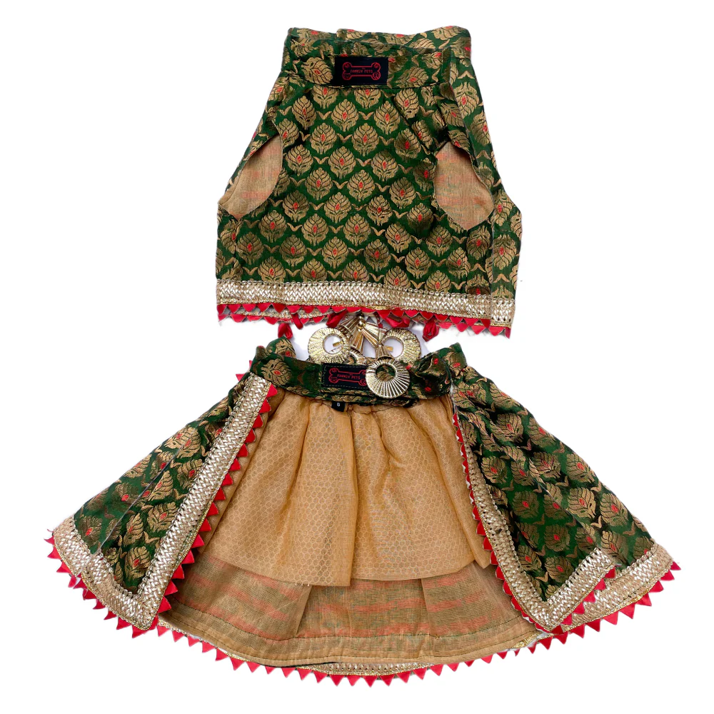 Pawgypets Brocade Lehenga for Dogs and Cats (Green) - Image 5
