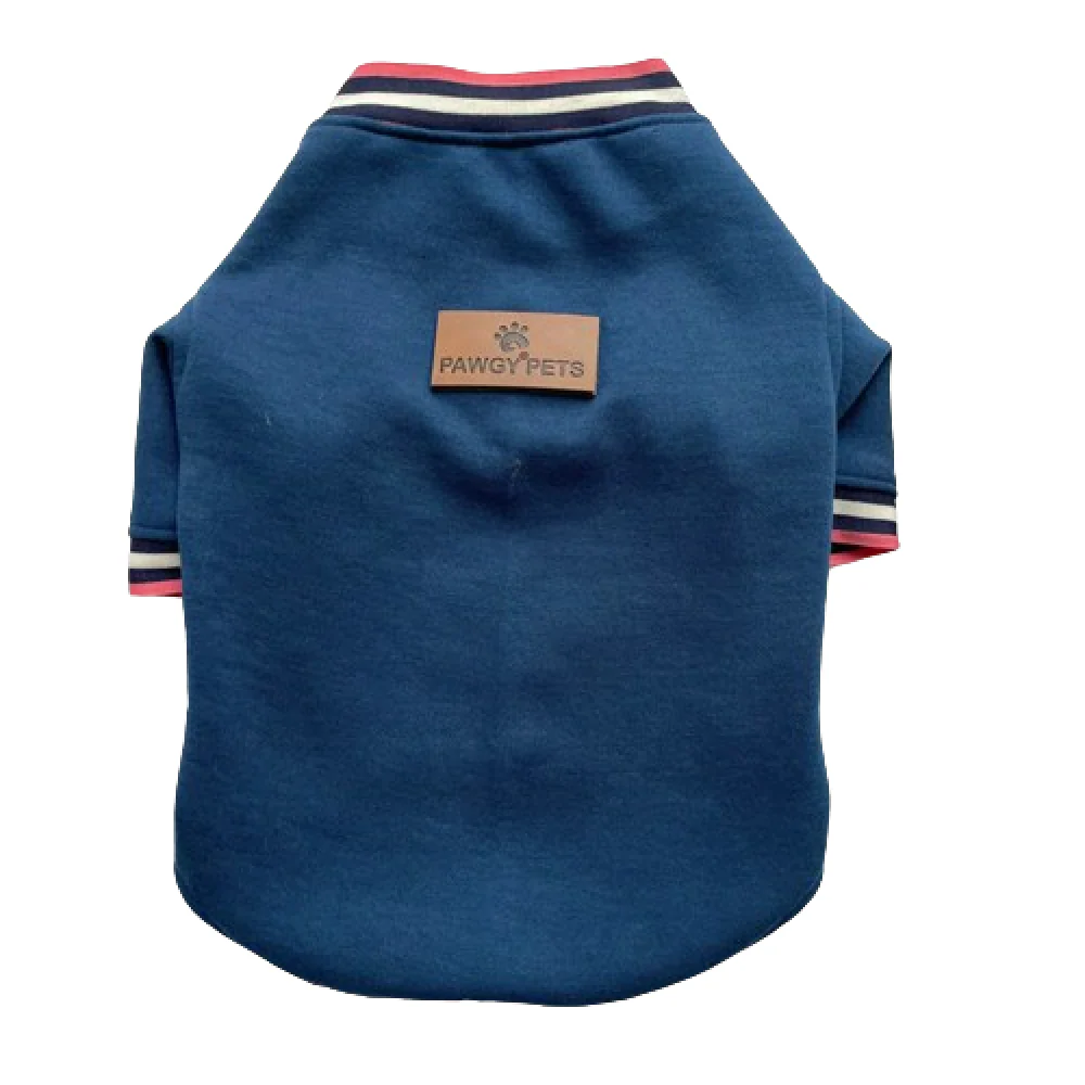 Pawgypets Candy Blue Sweatshirt for Dogs and Cats - Image 2