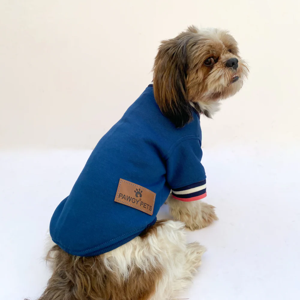 Pawgypets Candy Blue Sweatshirt for Dogs and Cats - Image 4