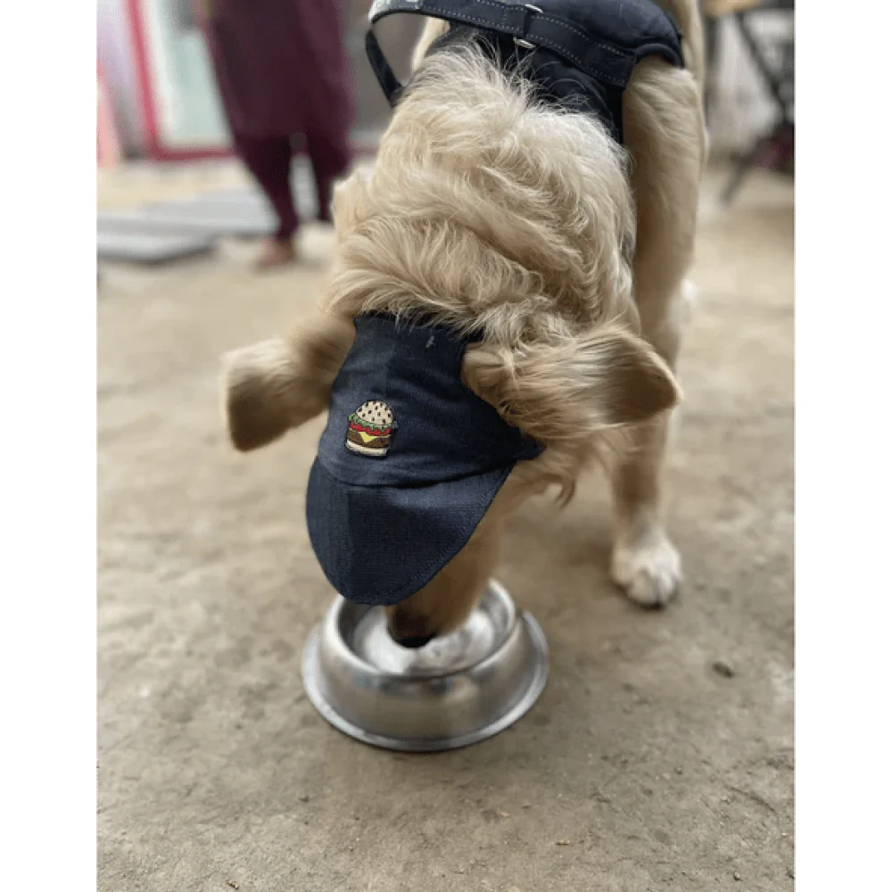 Pawgypets Cap for Dogs and Cats (Denim) - Image 2