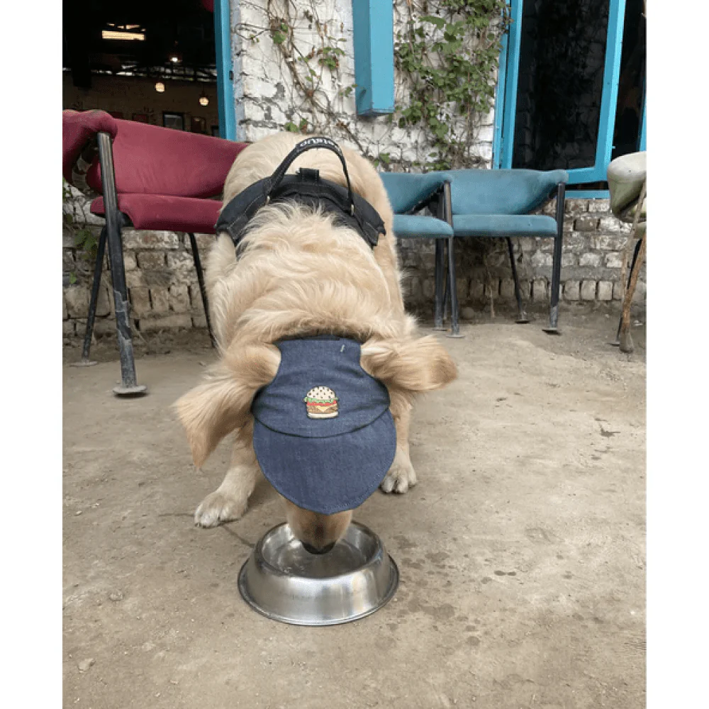 Pawgypets Cap for Dogs and Cats (Denim) - Image 3