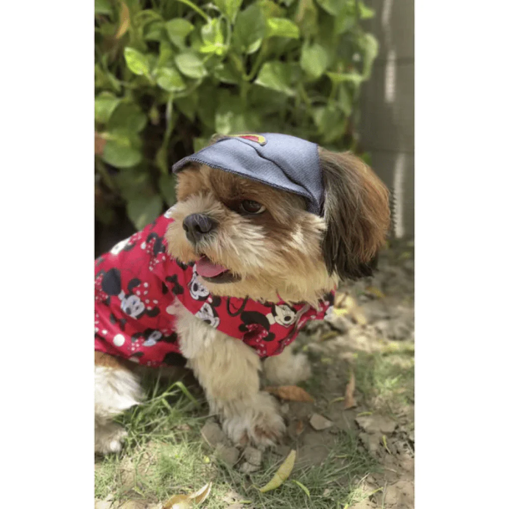 Pawgypets Cap for Dogs and Cats (Denim) - Image 4